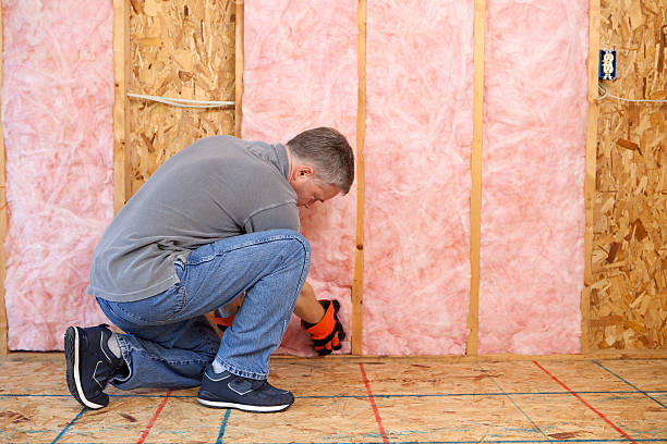 Best Local Insulation Services  in Port Vue, PA