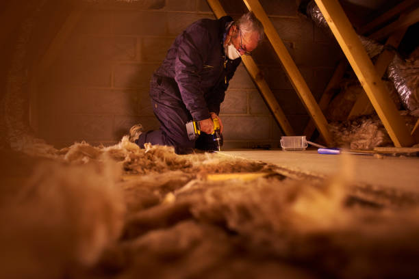 Best Home Insulation Services  in Port Vue, PA